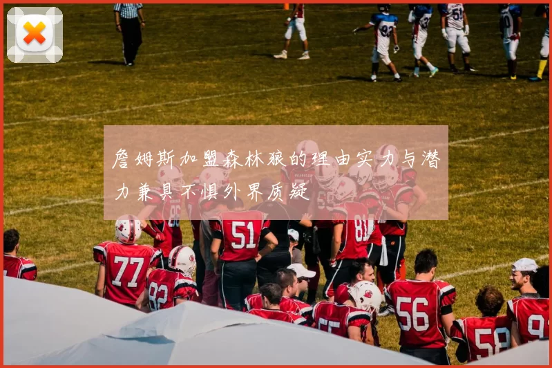 詹姆斯加盟森林狼的理由实力与潜力兼具不惧外界质疑